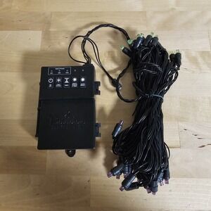 Bethlehem Lights Battery Operated LED 35 Lights Strand Halloween Purple & Green